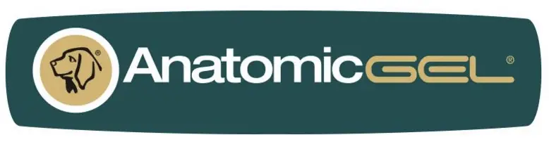 Anatomic Gel